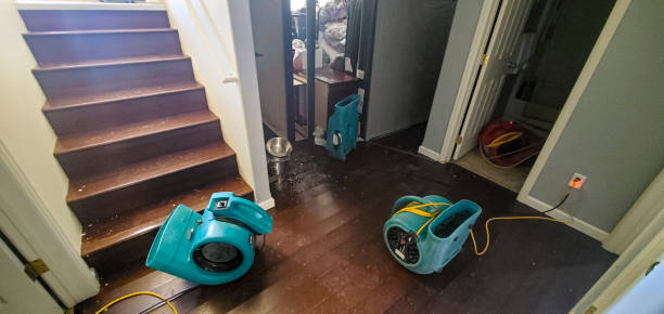 Best Water damage restoration process  in Sunray, TX