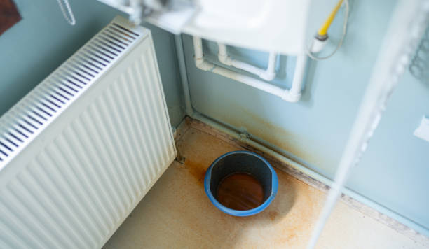Best Flood damage cleanup  in Sunray, TX