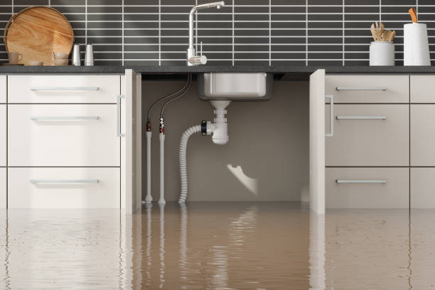 Best Residential water damage restoration  in Sunray, TX